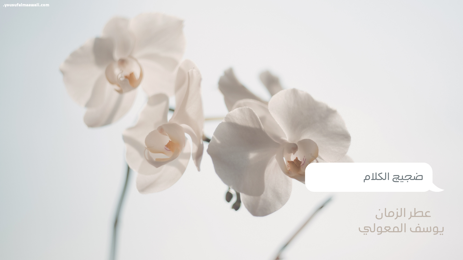 لغة الصمت التي تكشف أعماق الروح